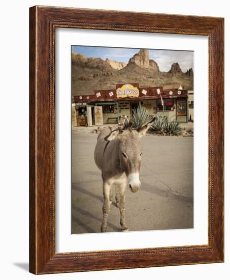 Route 66, Oatman, Arizona, USA-Julian McRoberts-Framed Photographic Print