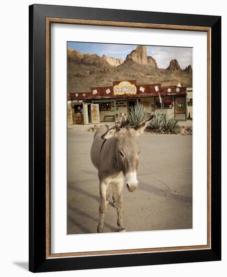 Route 66, Oatman, Arizona, USA-Julian McRoberts-Framed Photographic Print