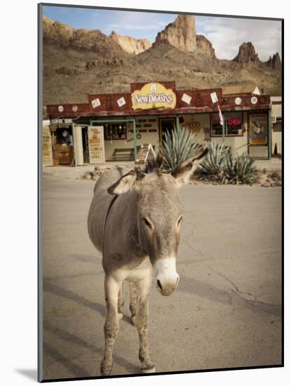 Route 66, Oatman, Arizona, USA-Julian McRoberts-Mounted Photographic Print