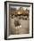 Route 66, Oatman, Arizona, USA-Julian McRoberts-Framed Photographic Print