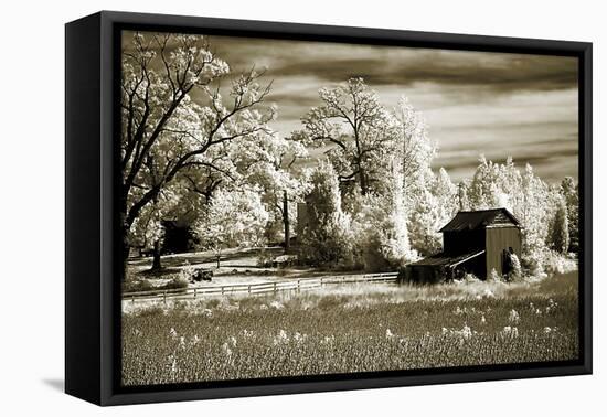 Route 96-Alan Hausenflock-Framed Premier Image Canvas