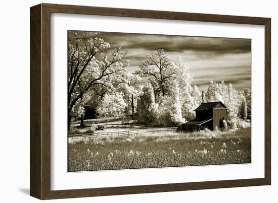 Route 96-Alan Hausenflock-Framed Photographic Print