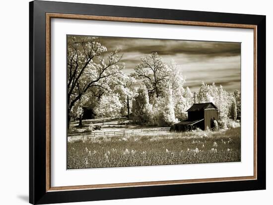 Route 96-Alan Hausenflock-Framed Photographic Print