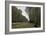 Route Du Bas-Breau-Claude Monet-Framed Giclee Print