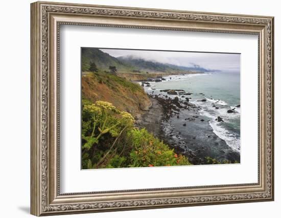 Route One along the Northern California coast. Undulating coastline with craggy rock and foliage.-Mallorie Ostrowitz-Framed Photographic Print