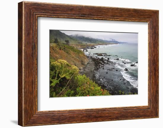 Route One along the Northern California coast. Undulating coastline with craggy rock and foliage.-Mallorie Ostrowitz-Framed Photographic Print