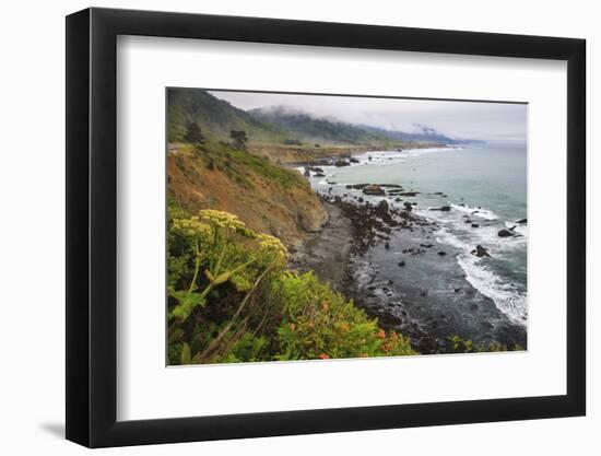 Route One along the Northern California coast. Undulating coastline with craggy rock and foliage.-Mallorie Ostrowitz-Framed Photographic Print