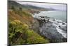 Route One along the Northern California coast. Undulating coastline with craggy rock and foliage.-Mallorie Ostrowitz-Mounted Photographic Print