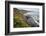 Route One along the Northern California coast. Undulating coastline with craggy rock and foliage.-Mallorie Ostrowitz-Framed Photographic Print