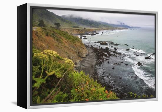 Route One along the Northern California coast. Undulating coastline with craggy rock and foliage.-Mallorie Ostrowitz-Framed Premier Image Canvas