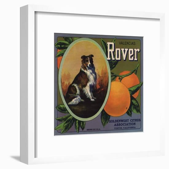 Rover Brand - Tustin, California - Citrus Crate Label-Lantern Press-Framed Art Print