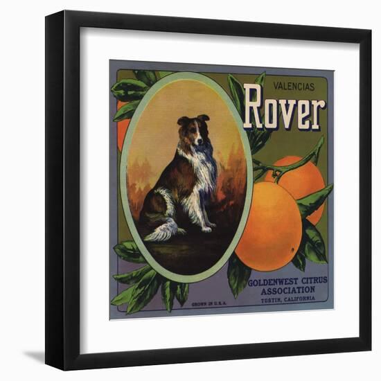 Rover Brand - Tustin, California - Citrus Crate Label-Lantern Press-Framed Art Print