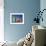 Row of Beach Huts Painted in Bright Colours, Brighton Beach, Near Melbourne, Victoria, Australia-Mawson Mark-Framed Photographic Print displayed on a wall