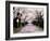 Row of Cherry Trees-null-Framed Photographic Print