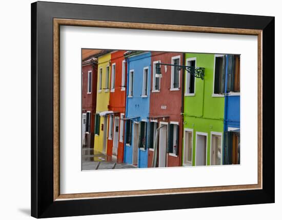 Row of Colorful Buildings Burano, Italy-Darrell Gulin-Framed Photographic Print