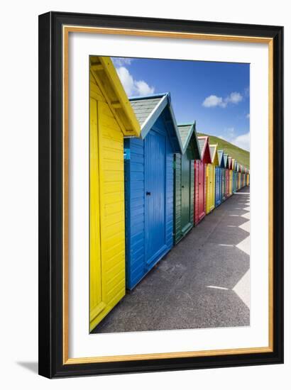 Row of Colourful Beach Huts and their Shadows with Green Hill Backdrop-Eleanor Scriven-Framed Premium Photographic Print