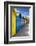 Row of Colourful Beach Huts and their Shadows with Green Hill Backdrop-Eleanor Scriven-Framed Photographic Print