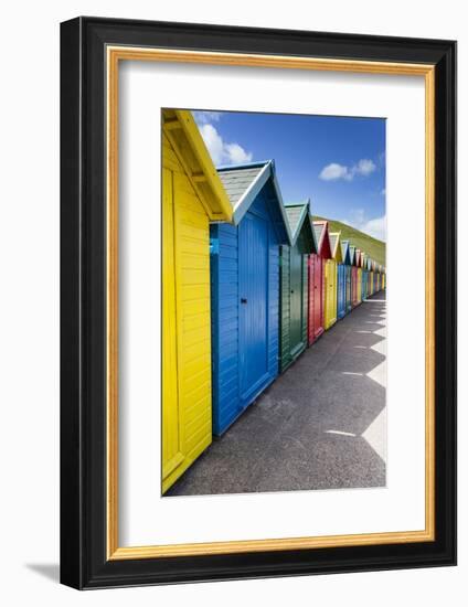 Row of Colourful Beach Huts and their Shadows with Green Hill Backdrop-Eleanor Scriven-Framed Photographic Print