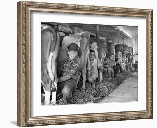 Row of Cows' Rumps, with Fat Cheeked Family of Six Milking Them, in Neat Cow Barn-Alfred Eisenstaedt-Framed Photographic Print