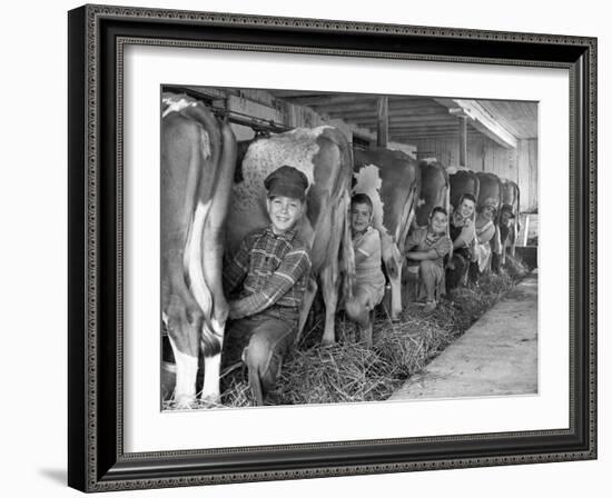 Row of Cows' Rumps, with Fat Cheeked Family of Six Milking Them, in Neat Cow Barn-Alfred Eisenstaedt-Framed Photographic Print