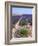 Row of Cultivated Lavender in Field in Provence, France. June 2008-Philippe Clement-Framed Photographic Print