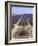 Row of Cultivated Lavender in Field in Provence, France. June 2008-Philippe Clement-Framed Photographic Print