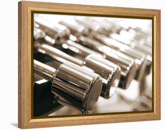 Row of Dumbbells-null-Framed Premier Image Canvas