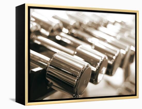 Row of Dumbbells-null-Framed Premier Image Canvas