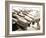 Row of Dumbbells-null-Framed Photographic Print