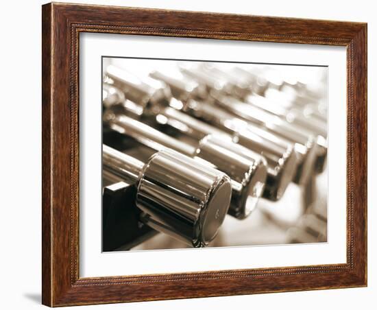 Row of Dumbbells--Framed Photographic Print