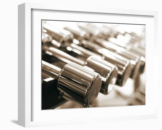 Row of Dumbbells--Framed Photographic Print