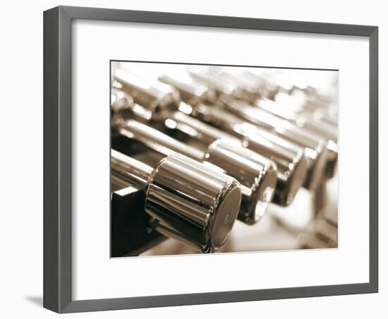 Row of Dumbbells-null-Framed Photographic Print