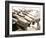 Row of Dumbbells-null-Framed Photographic Print