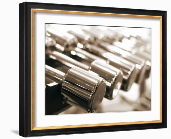 Row of Dumbbells-null-Framed Photographic Print