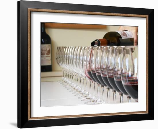 Row of Glasses for Tasting, Chateau Baron Pichon Longueville, Pauillac, Medoc, Bordeaux, France-Per Karlsson-Framed Photographic Print