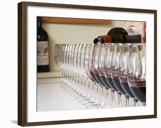 Row of Glasses for Tasting, Chateau Baron Pichon Longueville, Pauillac, Medoc, Bordeaux, France-Per Karlsson-Framed Photographic Print