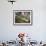 Row of Glasses on a Bar with Barman Preparing Mojito Cocktails, Habana Vieja, Havana, Cuba-Eitan Simanor-Framed Photographic Print displayed on a wall