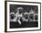 Row of Mastiff Puppies Owned by Oliver-Thomas Fall-Framed Photographic Print