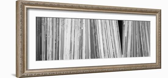 Row of Music Records, Germany--Framed Photographic Print