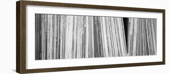 Row of Music Records, Germany-null-Framed Photographic Print