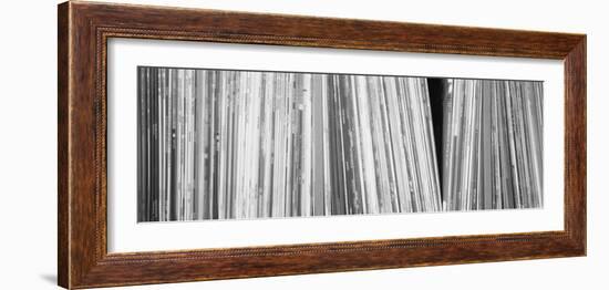 Row of Music Records, Germany--Framed Photographic Print