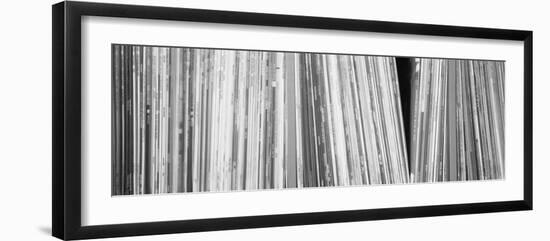 Row of Music Records, Germany-null-Framed Photographic Print