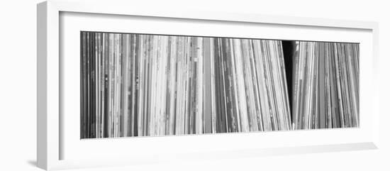 Row of Music Records, Germany-null-Framed Photographic Print