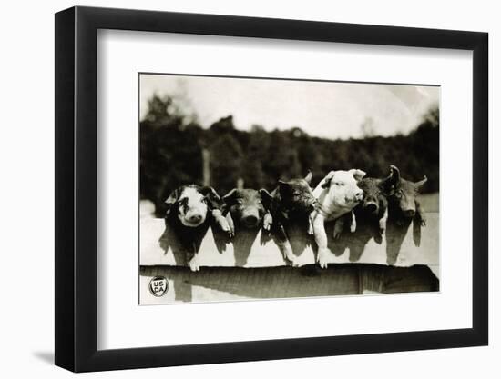 Photographic Print, , large