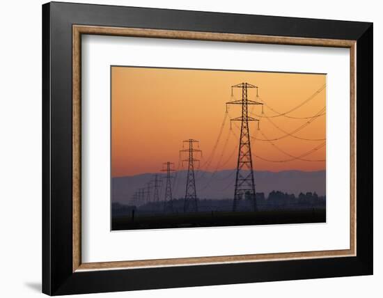 Row of Power Pylons at Sunset, Mid Canterbury, South Island, New Zealand-David Wall-Framed Photographic Print