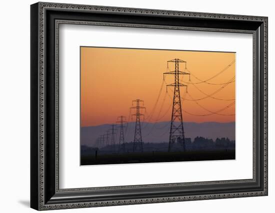 Row of Power Pylons at Sunset, Mid Canterbury, South Island, New Zealand-David Wall-Framed Photographic Print