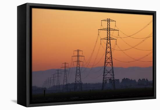 Row of Power Pylons at Sunset, Mid Canterbury, South Island, New Zealand-David Wall-Framed Premier Image Canvas