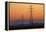 Row of Power Pylons at Sunset, Mid Canterbury, South Island, New Zealand-David Wall-Framed Premier Image Canvas