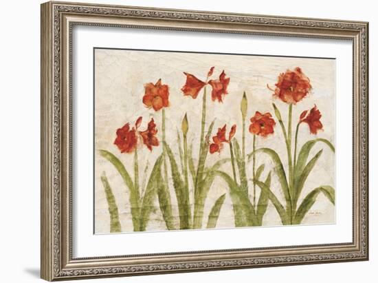 Row of Red Amaryllis Light-Cheri Blum-Framed Premium Giclee Print