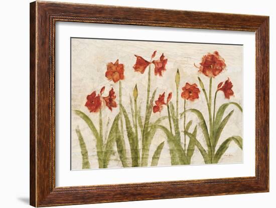 Row of Red Amaryllis Light-Cheri Blum-Framed Premium Giclee Print